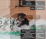 Image preview for Ad Listing. Nickname: Calvin
