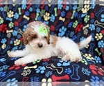 Image preview for Ad Listing. Nickname: Candy