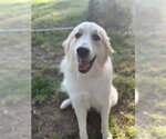 Small #3 Breeder Profile image