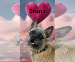Small #2 Breeder Profile image