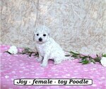 Image preview for Ad Listing. Nickname: Joy