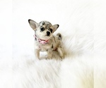 Image preview for Ad Listing. Nickname: Alaska