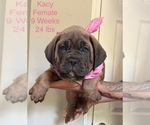 Image preview for Ad Listing. Nickname: KACY