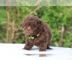 Image preview for Ad Listing. Nickname: flicka