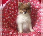 Image preview for Ad Listing. Nickname: Bebo