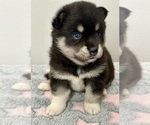 Image preview for Ad Listing. Nickname: Cute Girl