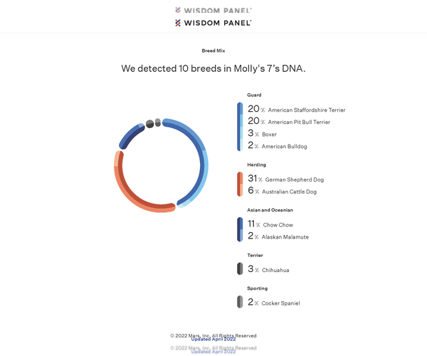 Medium Photo #9 German Shepherd Dog Puppy For Sale in Cottonwood, AZ, USA