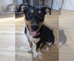 Small #4 Mutt