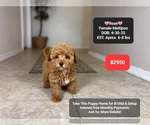 Image preview for Ad Listing. Nickname: Rose