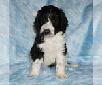 Image preview for Ad Listing. Nickname: parti girl