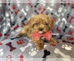 Image preview for Ad Listing. Nickname: Dude