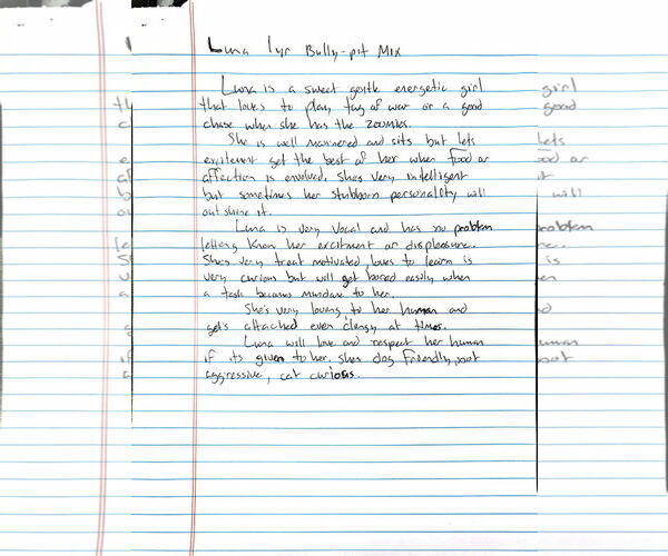 Medium Photo #8 American Pit Bull Terrier-Unknown Mix Puppy For Sale in Visalia, CA, USA