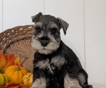  - Photo #6