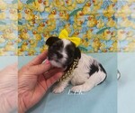 Image preview for Ad Listing. Nickname: Michelle