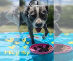 Small #3 Breeder Profile image