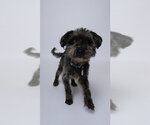 Small - Mix