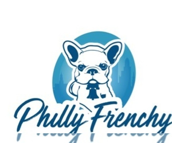 Medium Photo #4 French Bulldog Puppy For Sale in PHILA, PA, USA