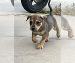 Small Pointer