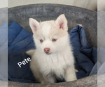 Image preview for Ad Listing. Nickname: Pete