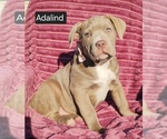 Image preview for Ad Listing. Nickname: Adalind