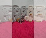 Image preview for Ad Listing. Nickname: Eleanor