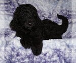 Image preview for Ad Listing. Nickname: black