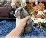 Image preview for Ad Listing. Nickname: Delia
