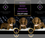 Image preview for Ad Listing. Nickname: Mandy
