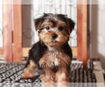 Image preview for Ad Listing. Nickname: Aria