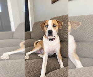 Nyla 