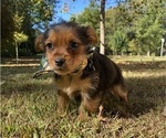 Image preview for Ad Listing. Nickname: Fred