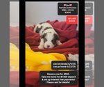 Image preview for Ad Listing. Nickname: Una