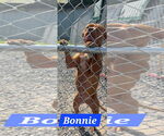 Small American Pit Bull Terrier Mix