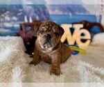Image preview for Ad Listing. Nickname: nera choc tweed