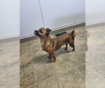 Small Chug