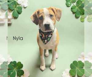 Nyla 