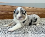 Image preview for Ad Listing. Nickname: Elsa
