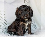 Image preview for Ad Listing. Nickname: Arlo