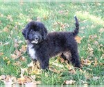 Image preview for Ad Listing. Nickname: Wrenly