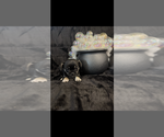 Image preview for Ad Listing. Nickname: Reba
