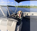 Small #2 Mutt