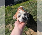 Small #2 Jack Tzu