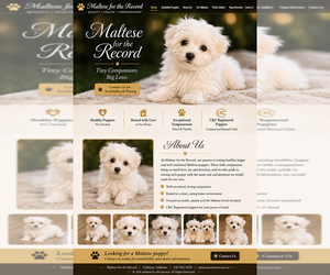 Maltese Puppy for sale in CULLMAN, AL, USA