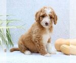 Image preview for Ad Listing. Nickname: Tammy