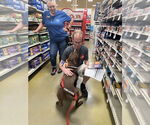 Small #2 American Pit Bull Terrier Mix
