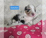 Image preview for Ad Listing. Nickname: Dusty Bun