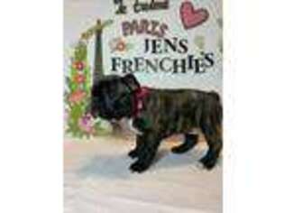 French Bulldog Puppy for sale in Buchanan, GA, USA