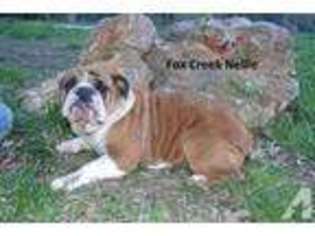 Bulldog Puppy for sale in NORWOOD, MO, USA