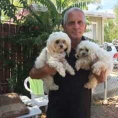 Maltese Dogs for adoption in Beverly Hills, CA, USA