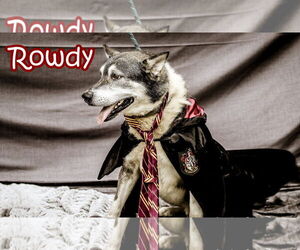 - Mix Dogs for adoption in Crandall, GA, USA